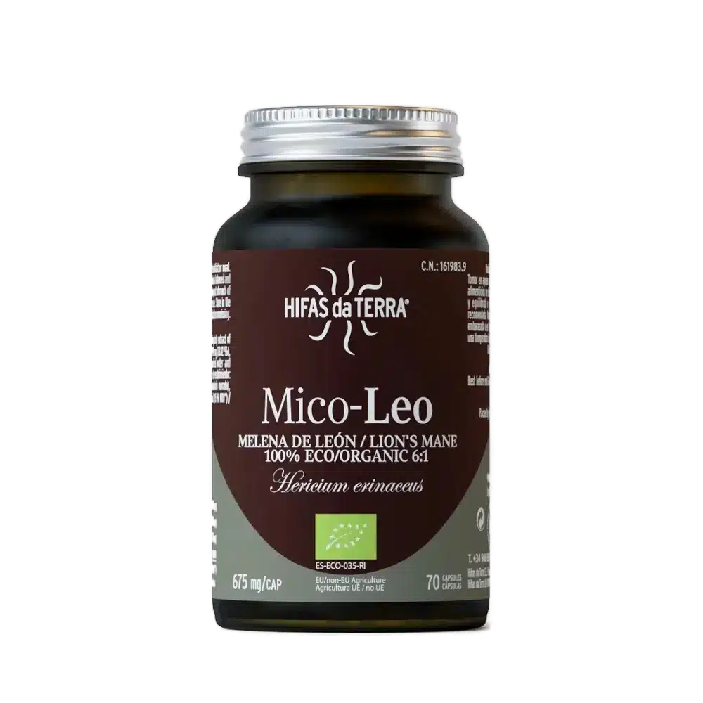 Hifas da Terra