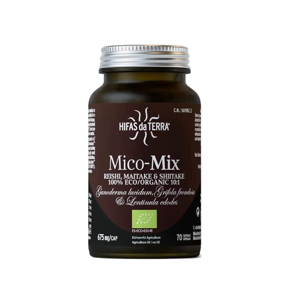 Hifas da Terra