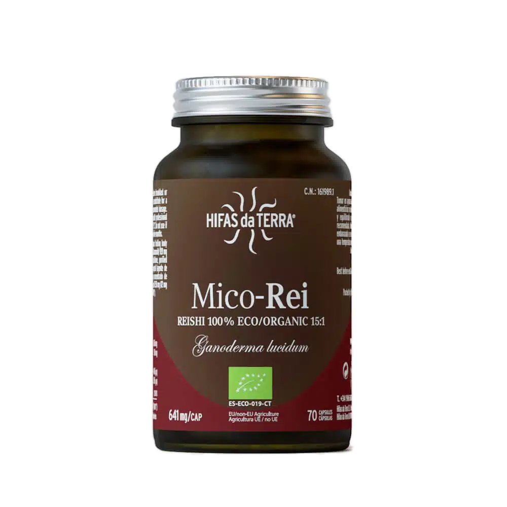 Hifas da Terra